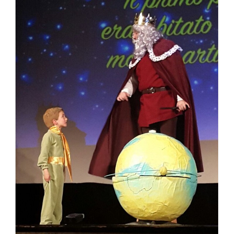 Little Prince carnival costumes – The Little Prince